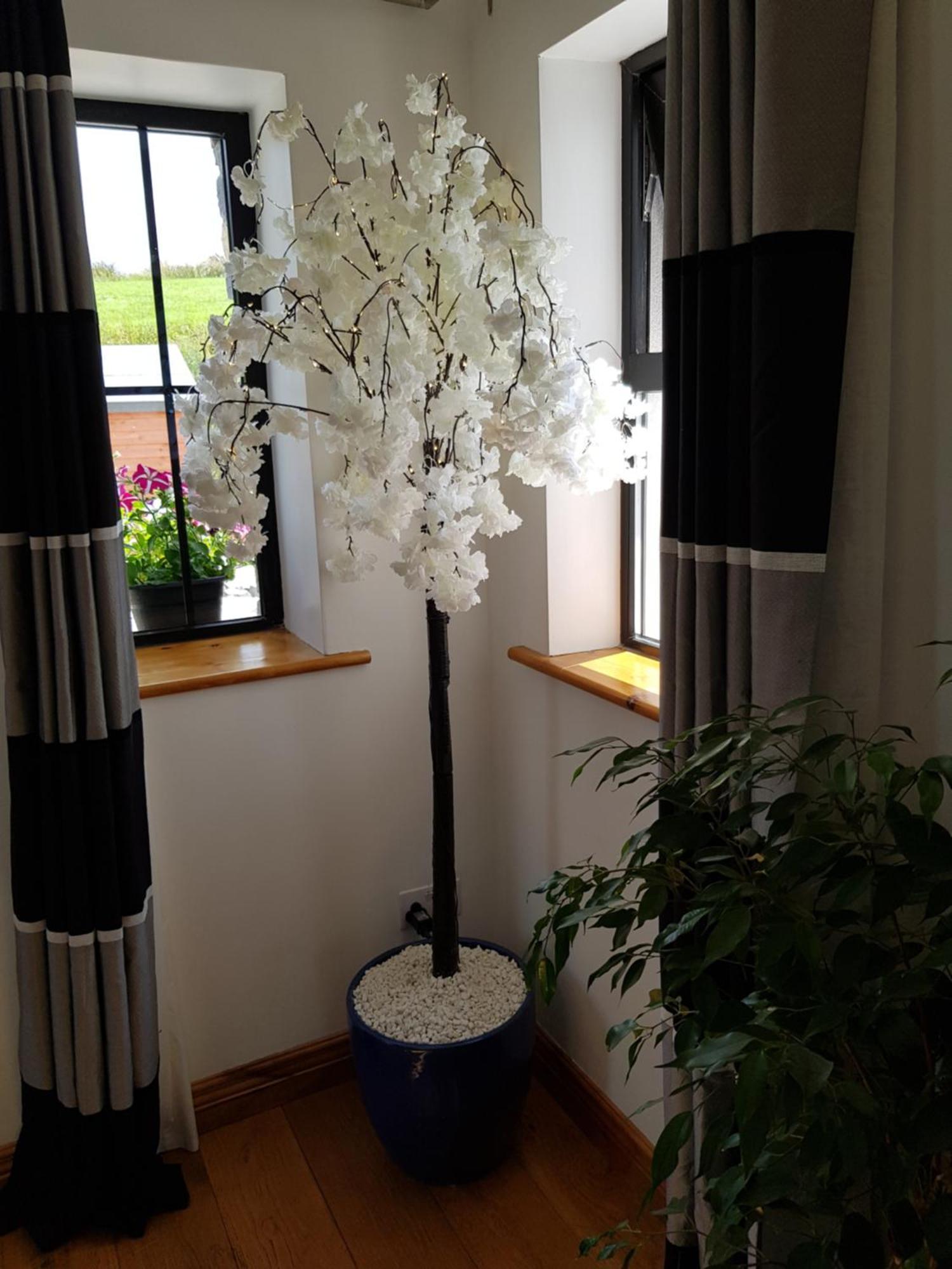 Atlantic Coast Holiday Home Mountcharles 외부 사진